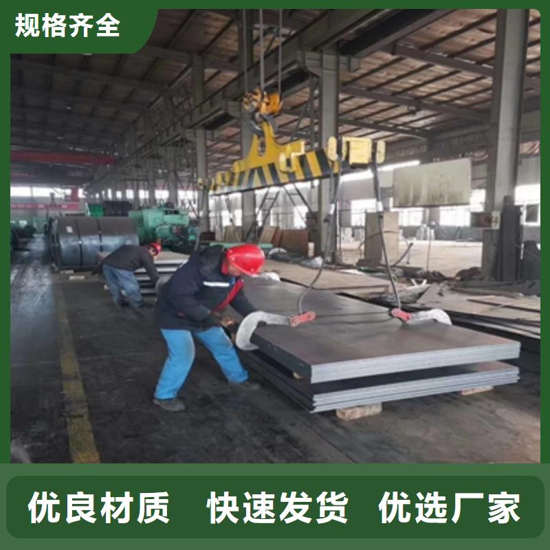 Q690中厚板来厂考察