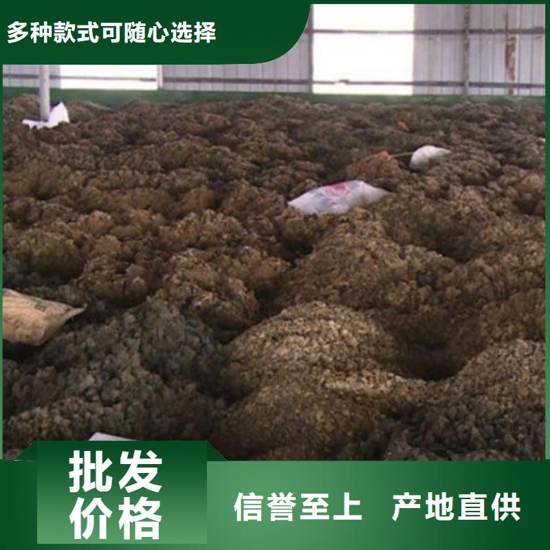 含铜泥-【回收废旧光伏板】免费评估
