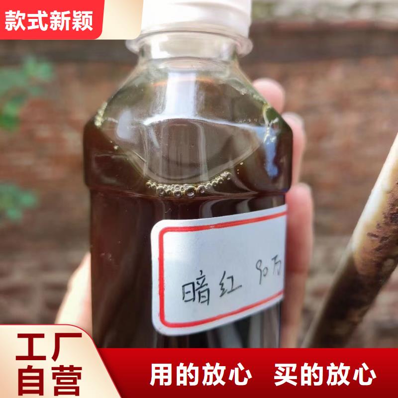 碳源卓越品质保障