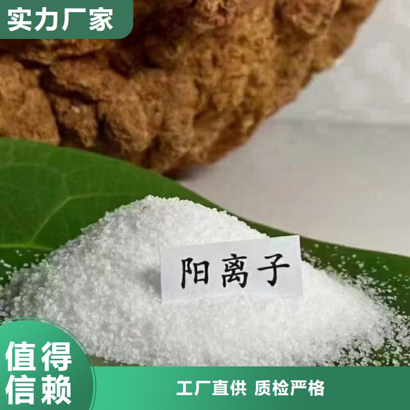 聚丙烯酰胺丰富的行业经验