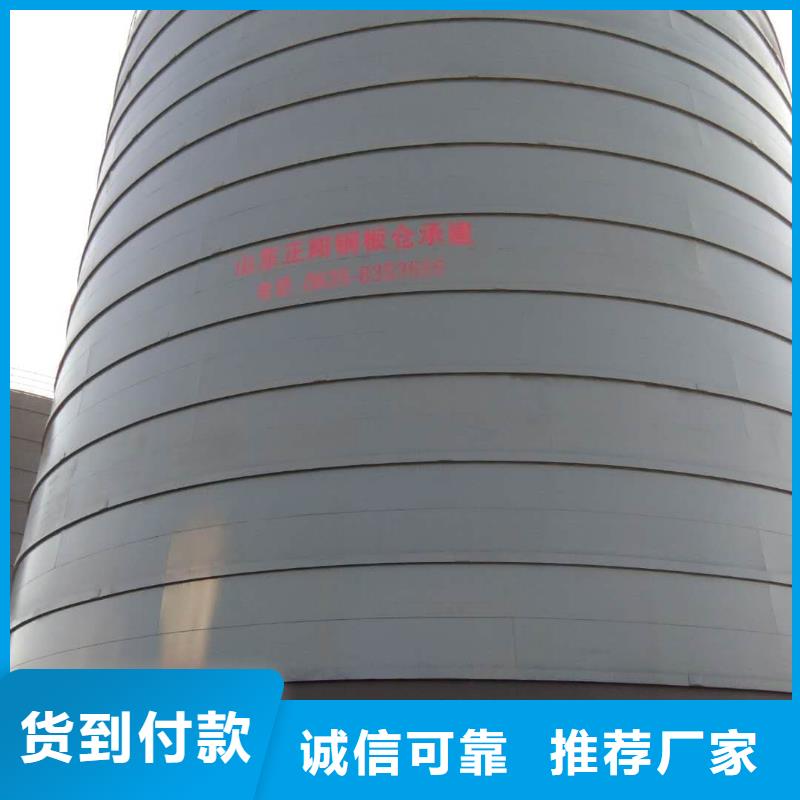 2万吨粉煤灰钢板库-品质看得见