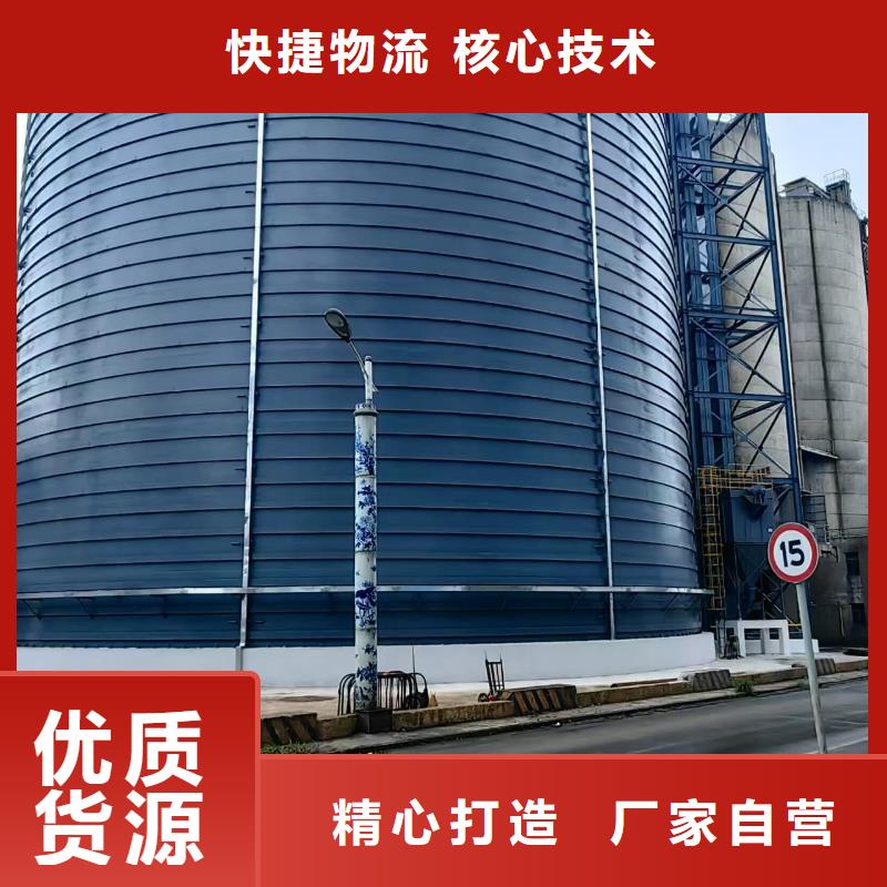 定制5万吨粉煤灰钢板仓_品牌厂家