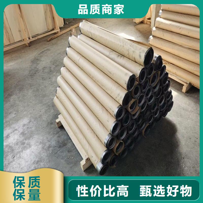 防射线铅门销售厂家