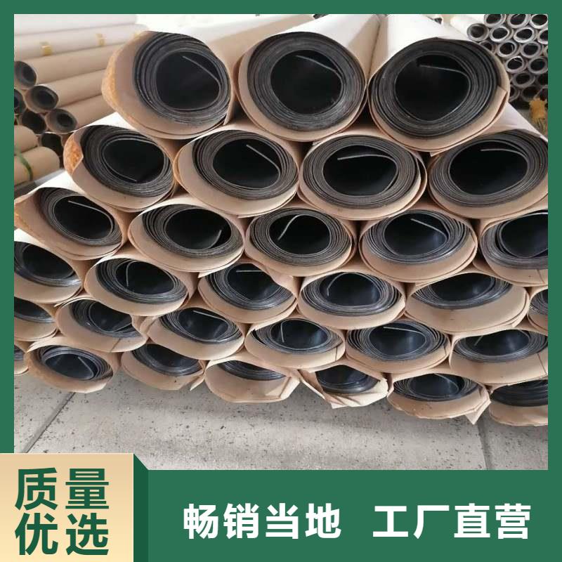 加速器防护门批发厂家