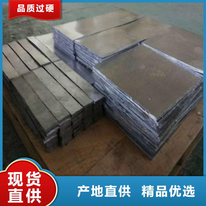 现货供应防射线铅门_厂家/供应