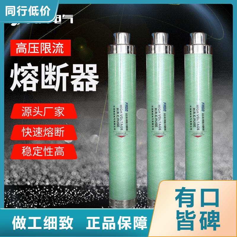 XRNP1-40.5/0.2A熔断器