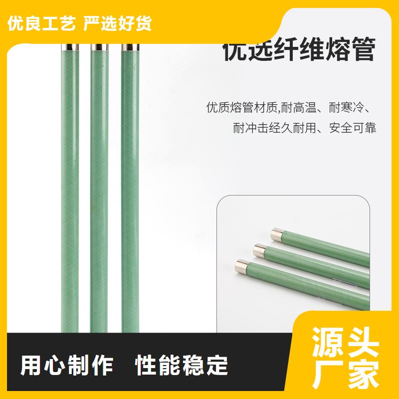XRNP1-40.5/0.2A熔断器