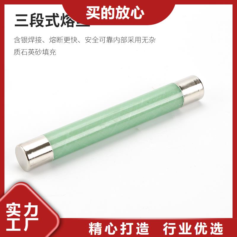 XRNP1-40.5/0.2A熔断器