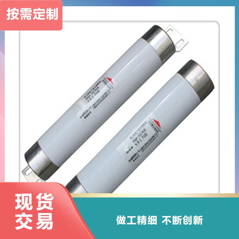 XRNP1-40.5/0.2A熔断器