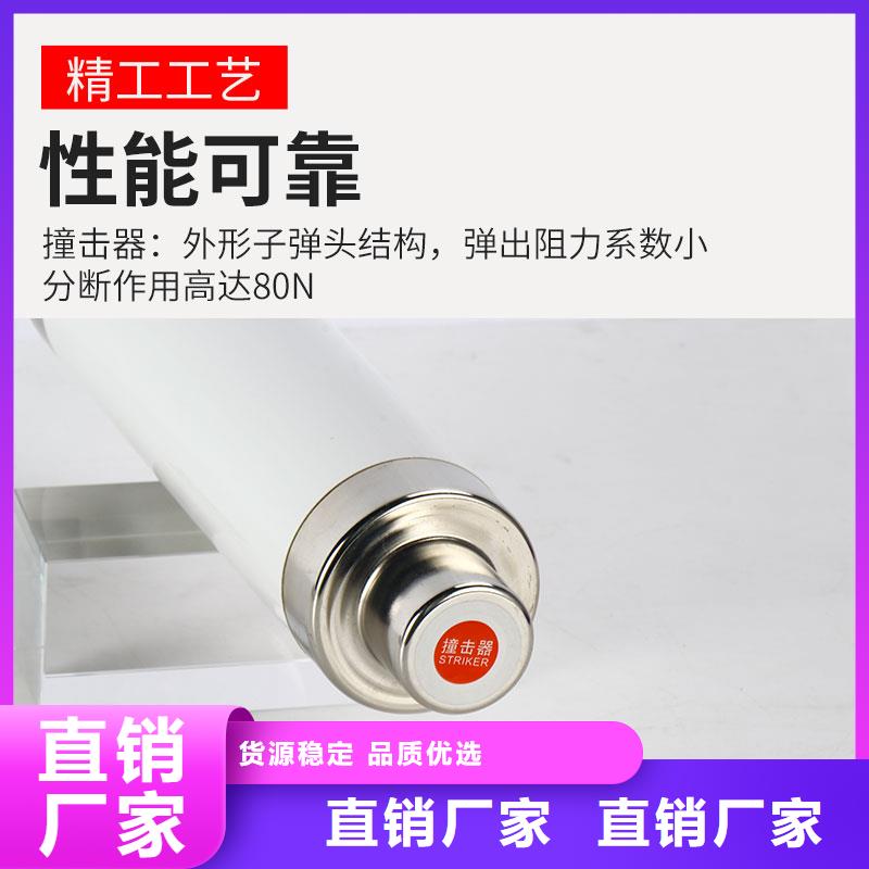 XRNP1-40.5/0.2A熔断器