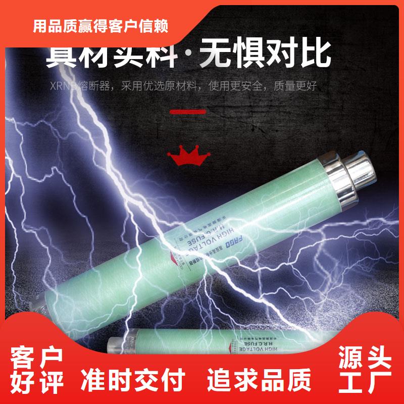 XRNP1-40.5/0.2A熔断器