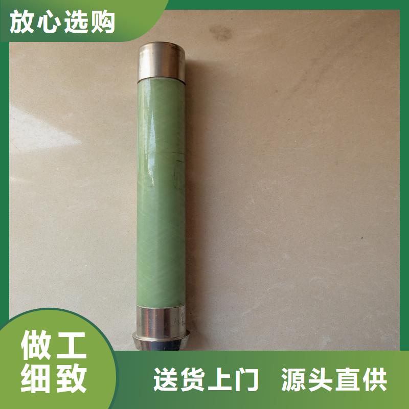 XRNP1-40.5/0.2A熔断器