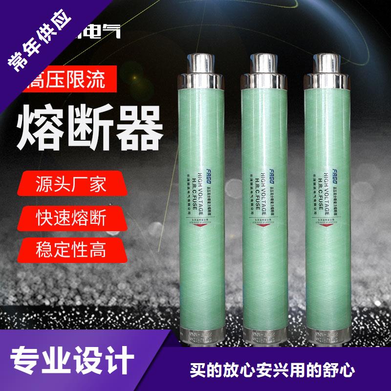 XRNP1-40.5/0.2A熔断器