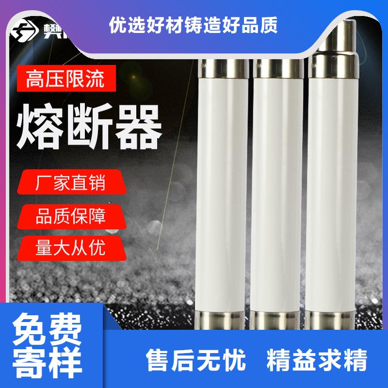 XRNP1-40.5/0.2A熔断器