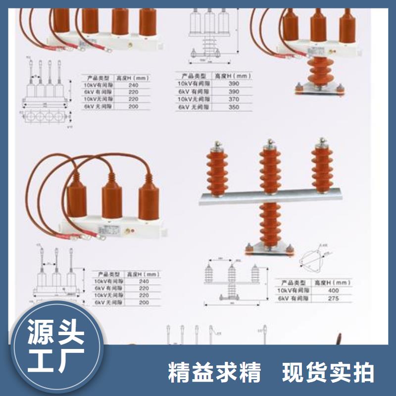【计数器】,氧化锌避雷器按需定制