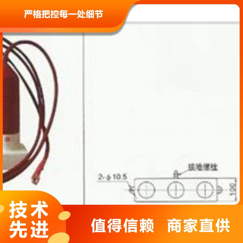 【计数器】,氧化锌避雷器按需定制