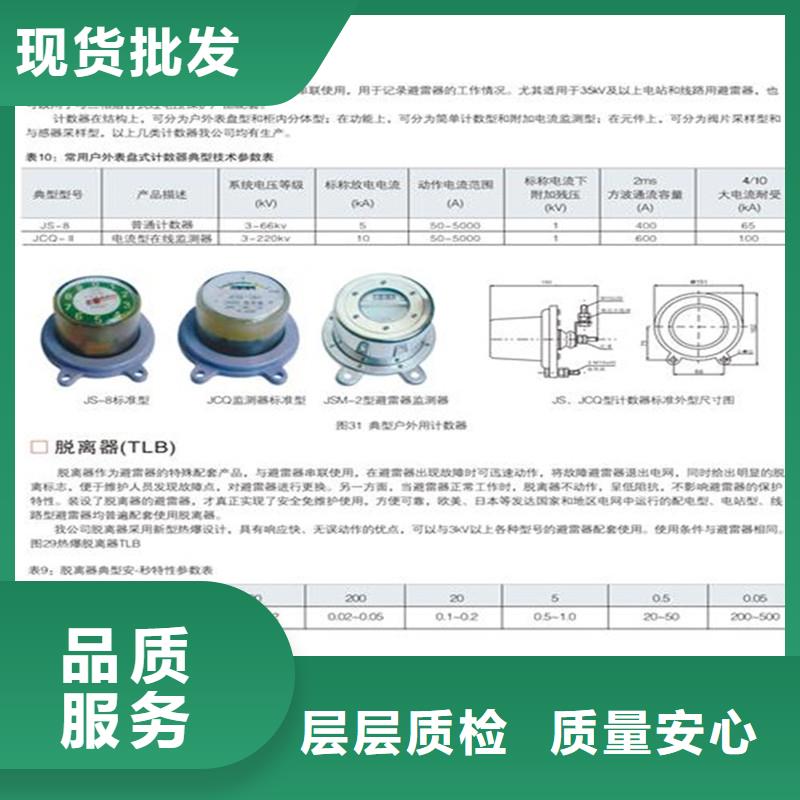 【计数器】,氧化锌避雷器按需定制