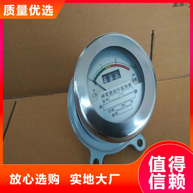 【计数器】,氧化锌避雷器按需定制