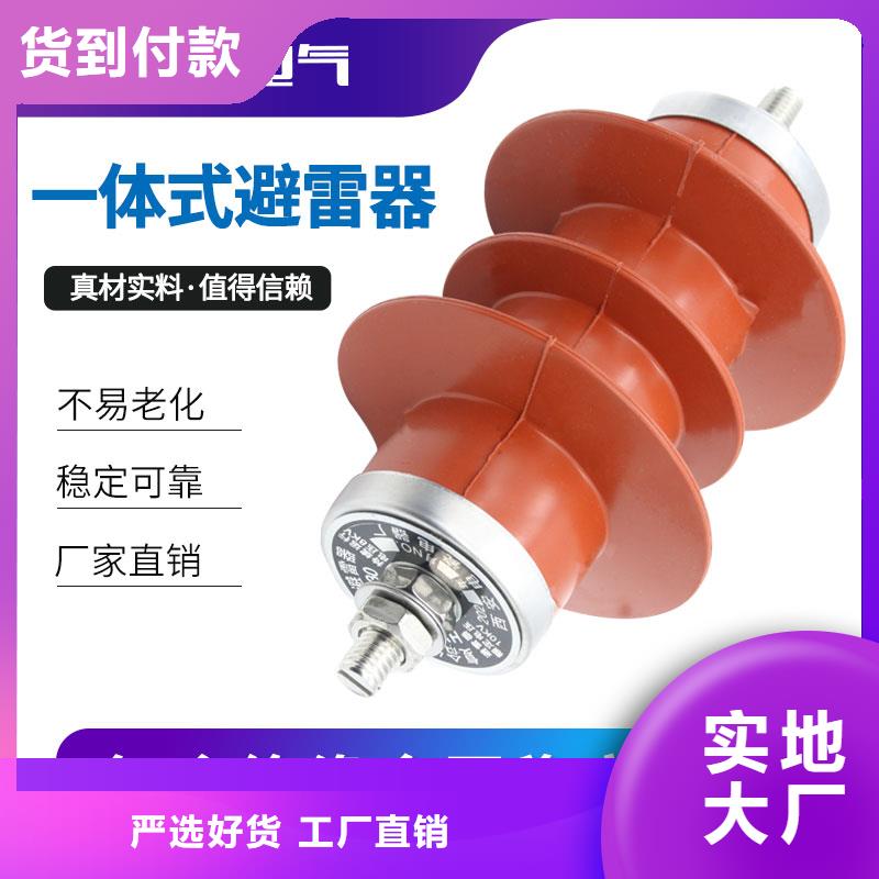 HY5WT-100/260间隙避雷器