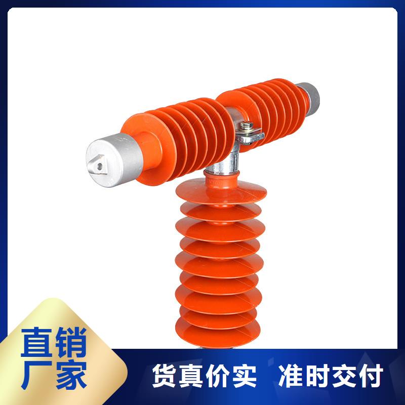 RW11-10/100A高压熔断器
