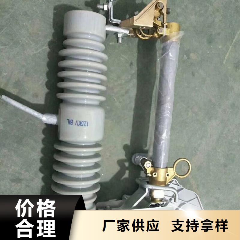 RW11-10/100A高压熔断器