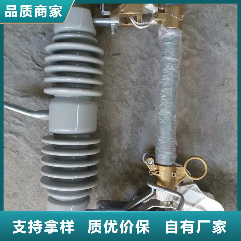 RW11-10/100A高压熔断器