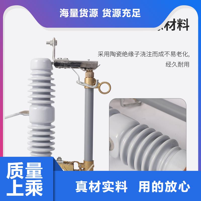 RW11-10/100A高压熔断器
