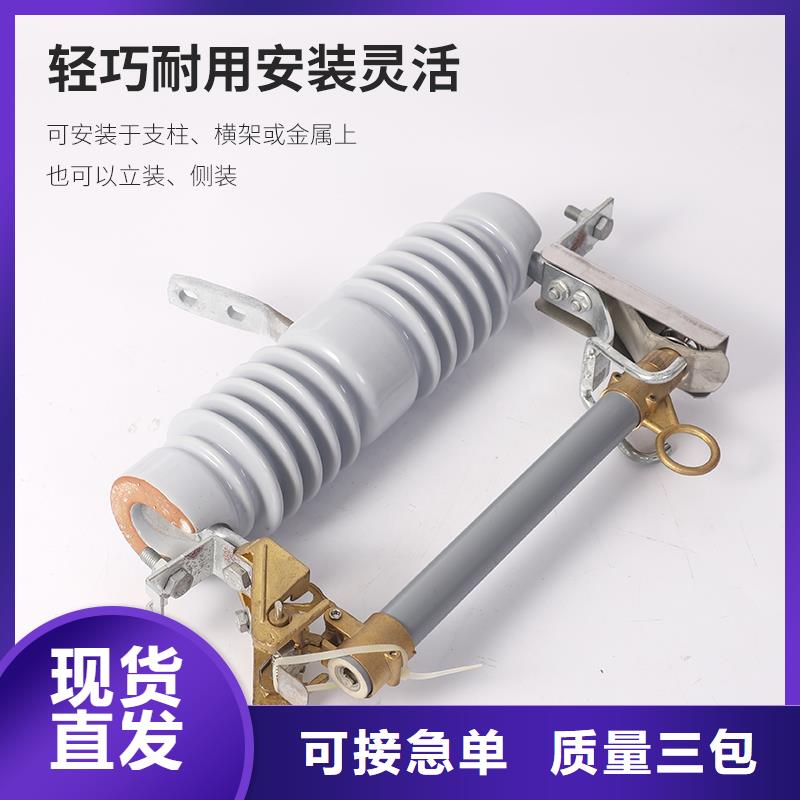 RW11-10/100A高压熔断器