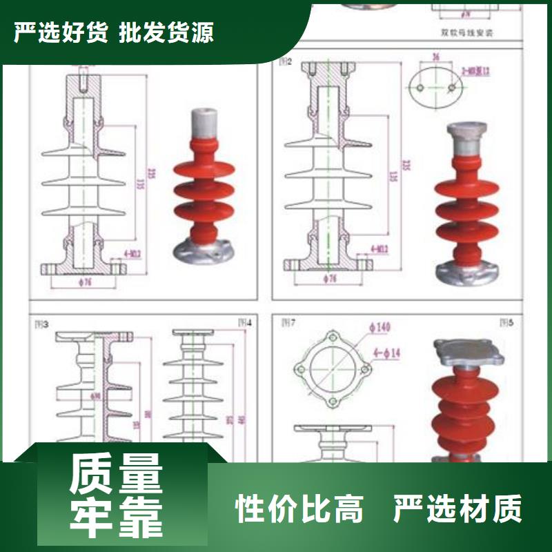 ZJ-10Q/65*140环氧树脂绝缘子