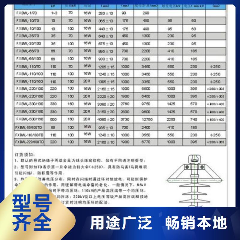 ZJ-10Q/65*140环氧树脂绝缘子