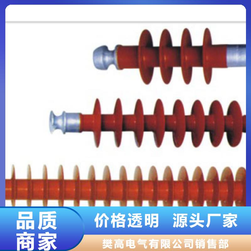 ZJ-10Q/85*140高压绝缘子