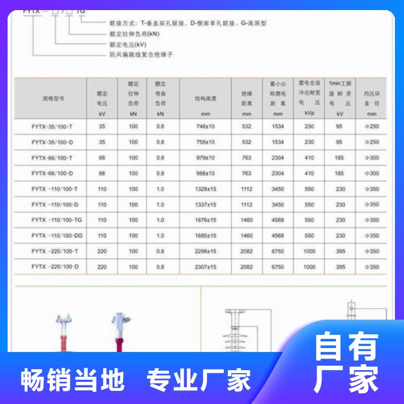 ZJ-10Q/65*140环氧树脂绝缘子