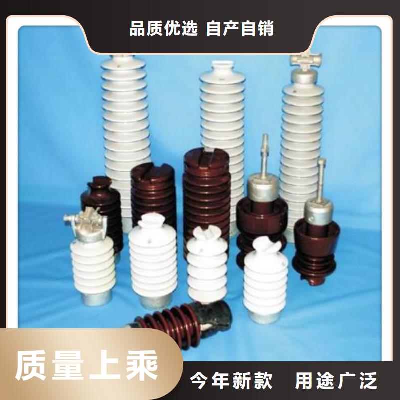 ZJ-10Q/85*140高压绝缘子