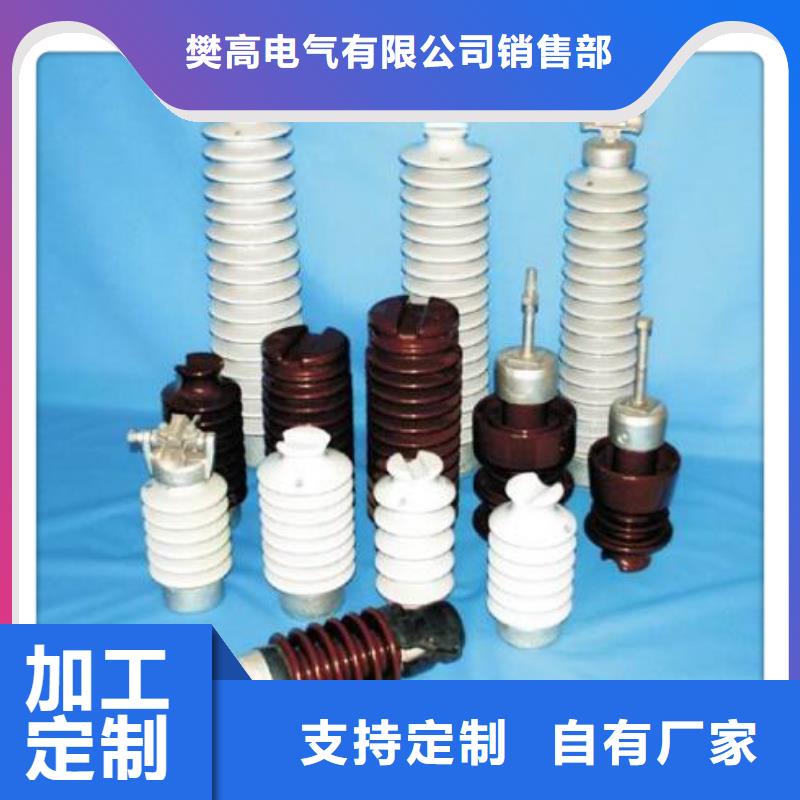 ZJ-10Q/65*140环氧树脂绝缘子