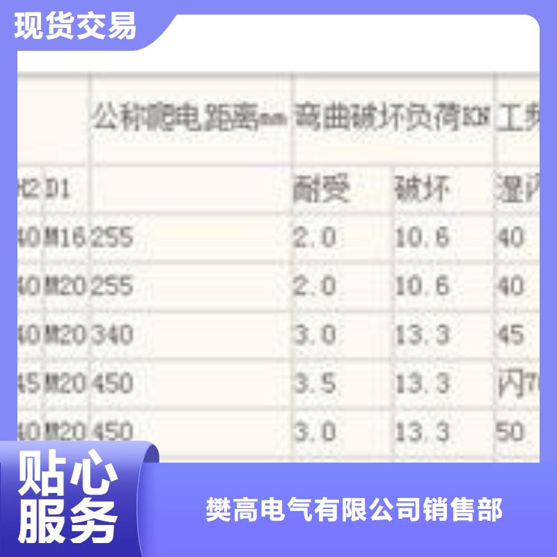 ZN-10/4户外高压绝缘子
