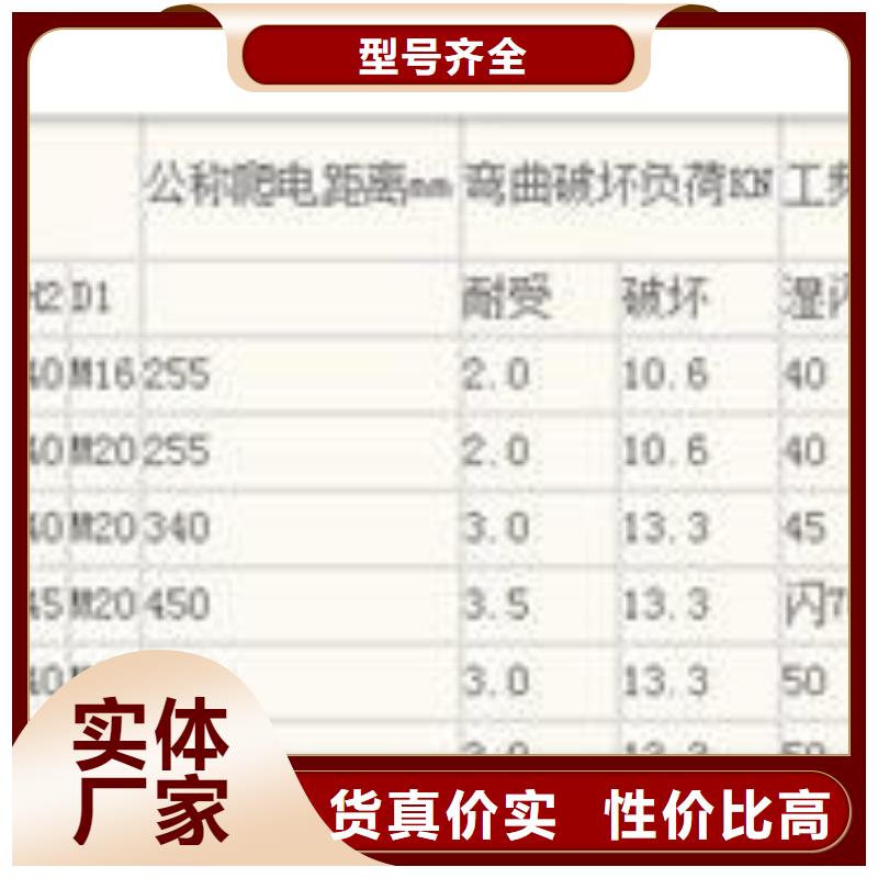 ZJ-10Q/85*140高压绝缘子