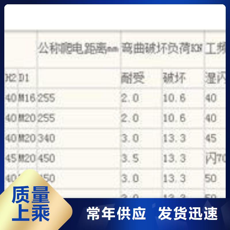 ZN-10/4户外高压绝缘子