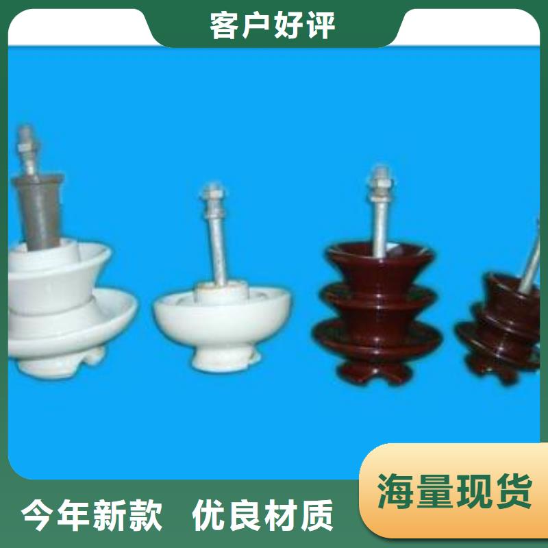 ZN-10/4户外高压绝缘子