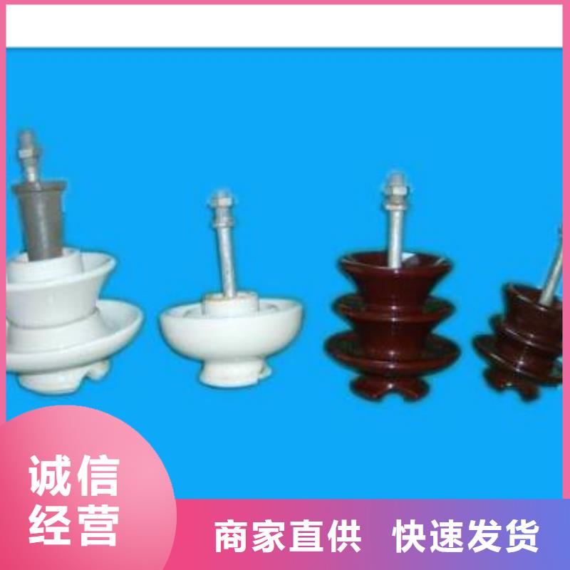 ZJ-10Q/65*140环氧树脂绝缘子