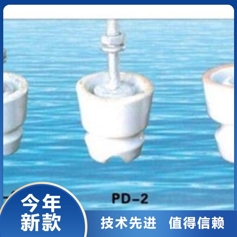 ZJ-10Q/85*140高压绝缘子