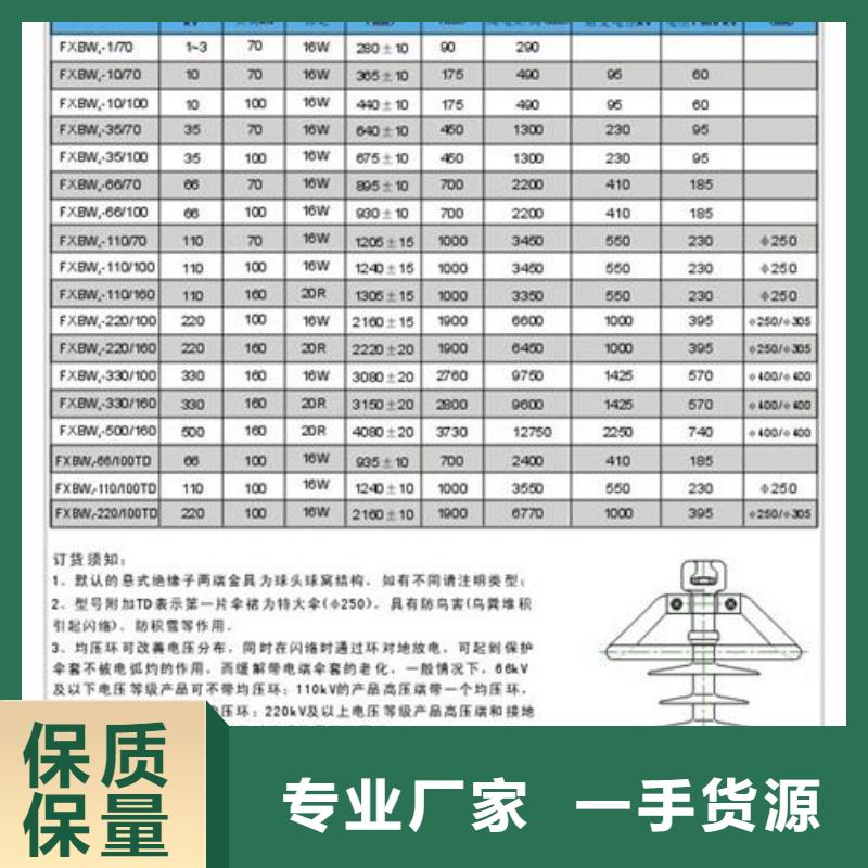 ZJ-10Q/65*140环氧树脂绝缘子