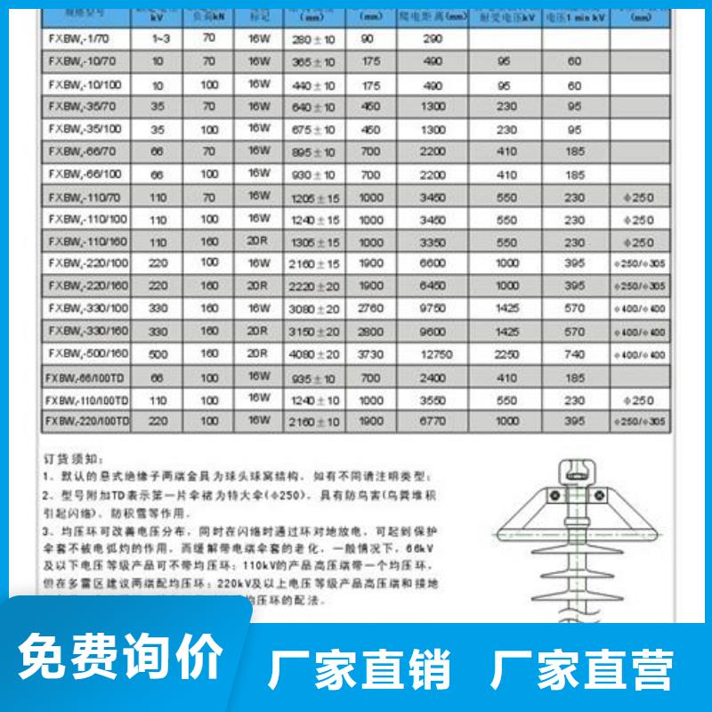 ZJ-10Q/85*140高压绝缘子