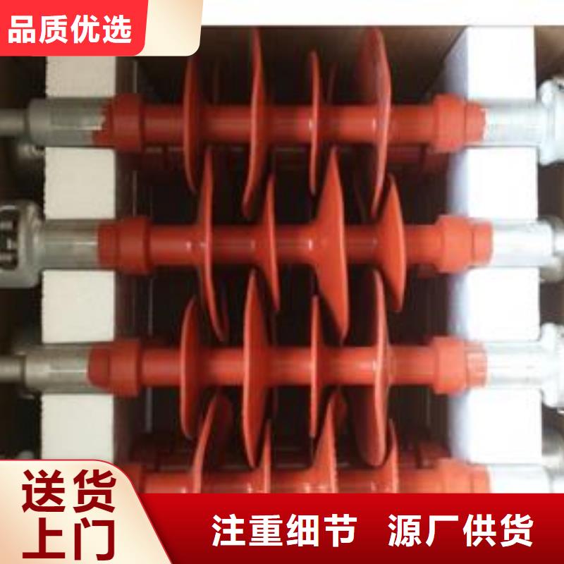 ZJ-10Q/85*140高压绝缘子