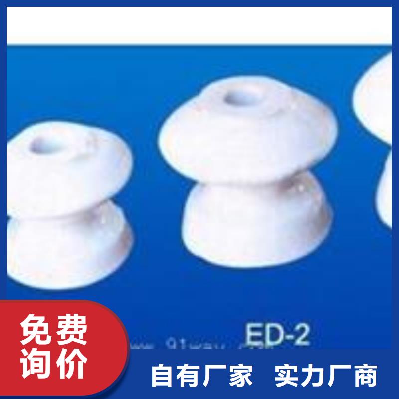 ZN-10/4户外高压绝缘子