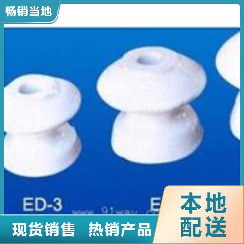 ZJ-10Q/65*140环氧树脂绝缘子
