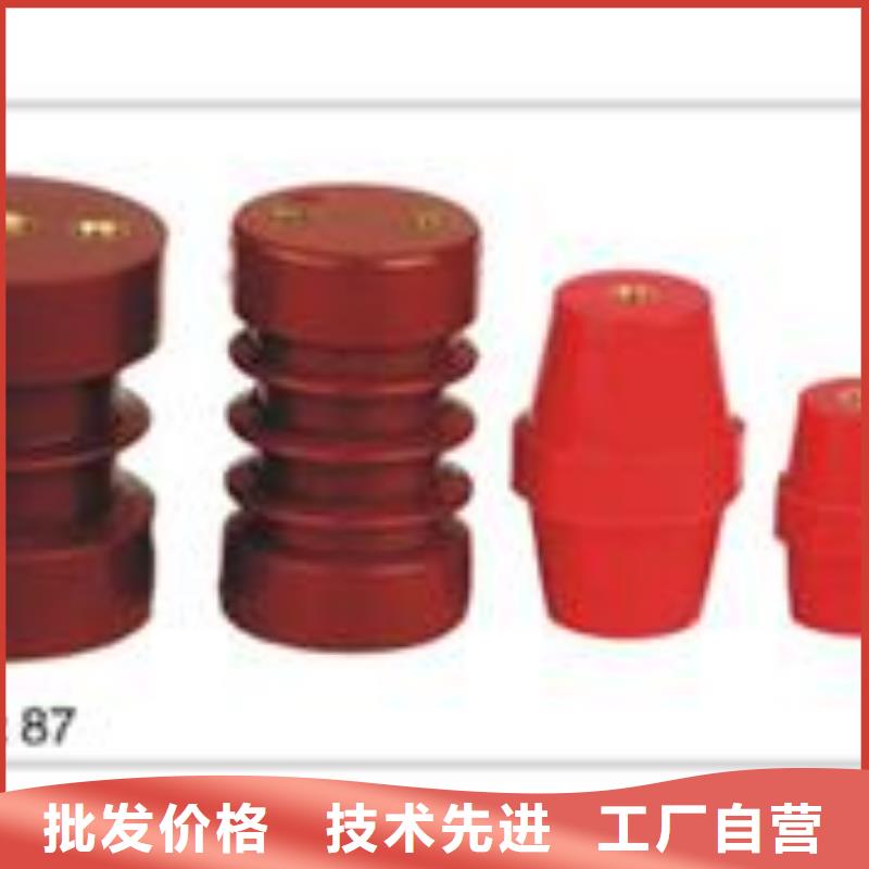 ZJ-10Q/65*140环氧树脂绝缘子