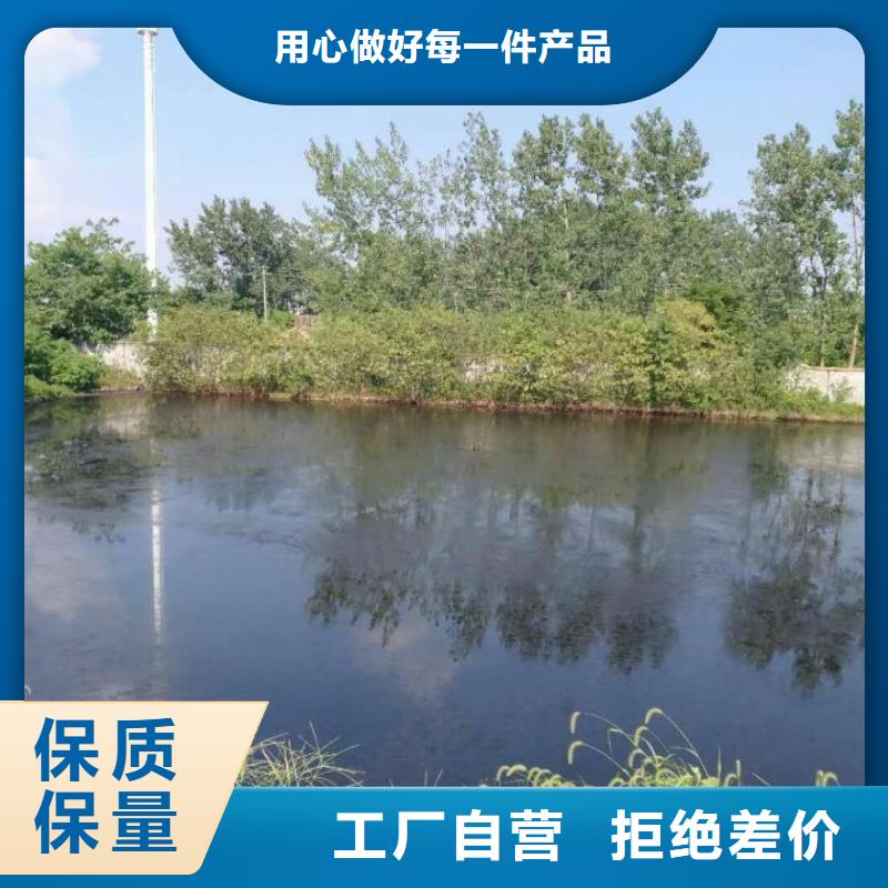 无土边坡修绿植场地固化处理价格