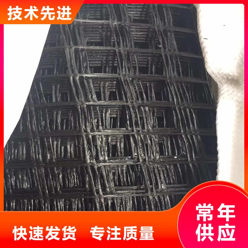 玻纤格栅 【玻纤土工格栅】快速物流发货路德三维植被网