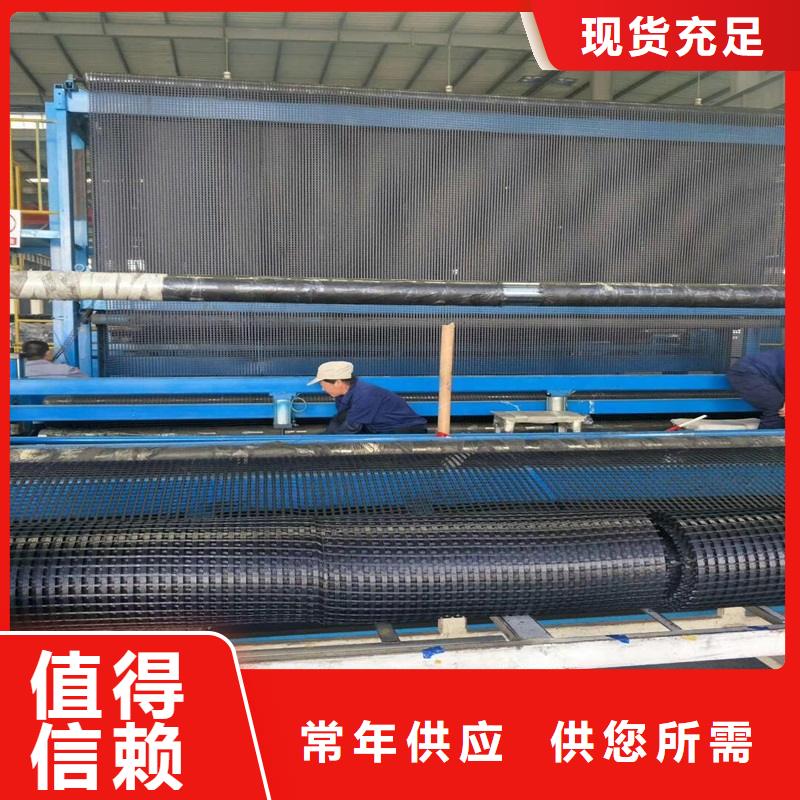 玻纤格栅 【玻纤土工格栅】快速物流发货路德三维植被网