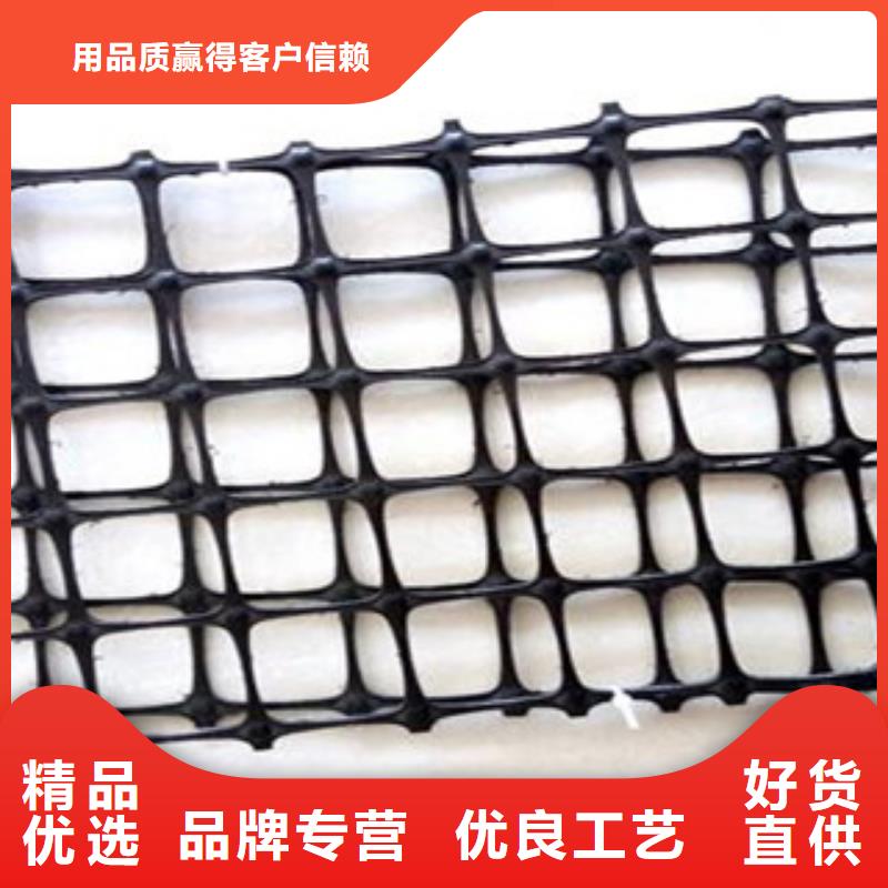 双向塑料格栅三维植被网厂家采购